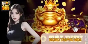 Sicbo Tài Phú MD5 Nhatvip – Luật Chơi Và Cách Kiểm Tra Mã